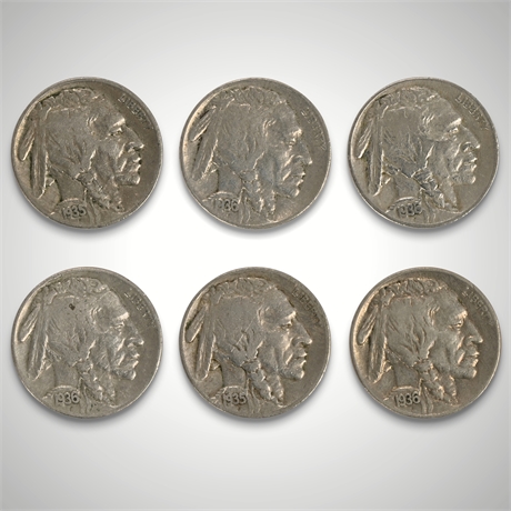 1930s Buffalo Nickel Collection