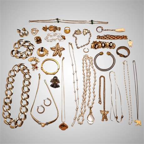 31 Piece Fashion Jewelry