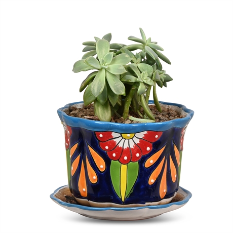 Hand Painted 8" Talavera Pot with Ghost Plant