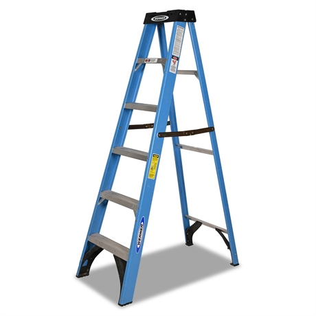Werner 6' Fiberglass Ladder