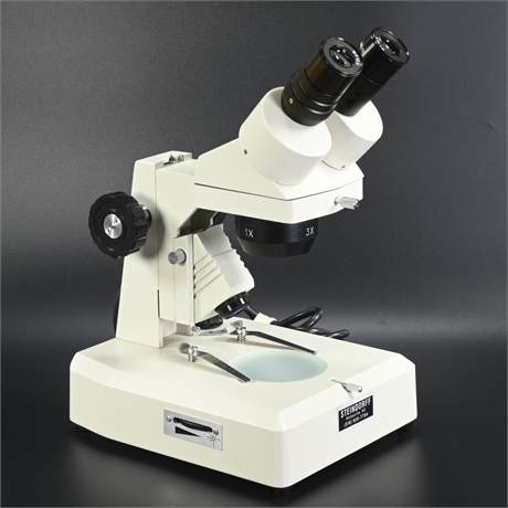 Steindorff Binocular Stereo Microscope