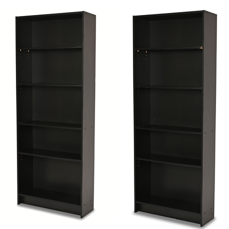 Pair Functional Shelves