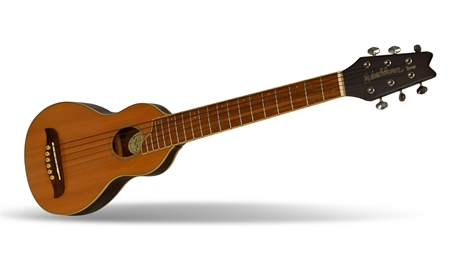 Washburn Rover The Ultimate Travel Guitar