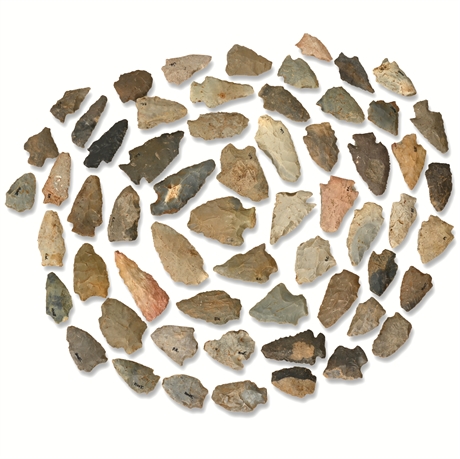 Benton Broad Stem Arrowheads