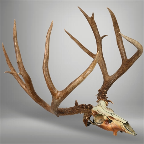 Bronze Deer Skull by Bill Ernst