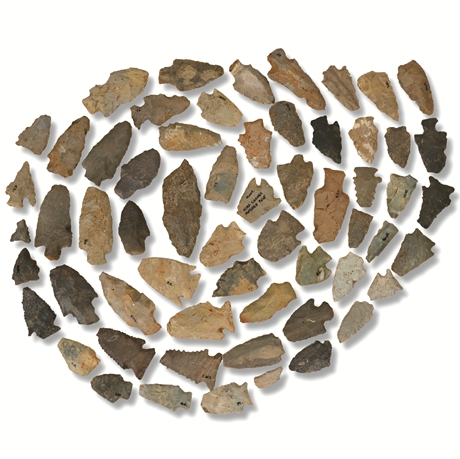 Benton Broad Stem Arrowheads