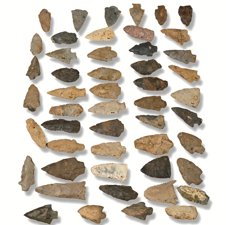 Benton Broad Stem Arrowheads