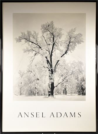 Ansel Adams Print