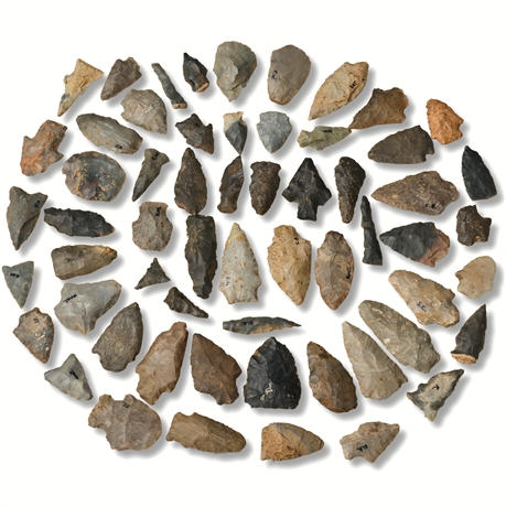 Benton Broad Stem Arrowheads