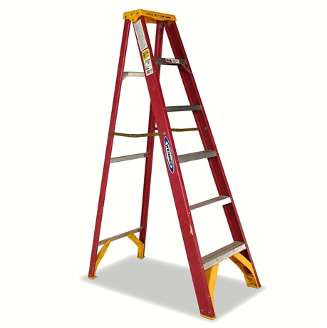 Werner 6 ft Type II Fiberglass Single Sided Step Ladder
