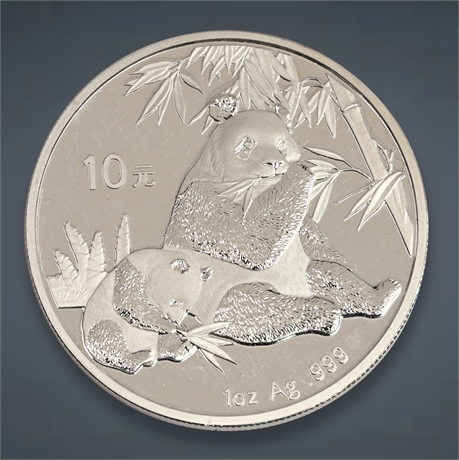 2007 10 Yuan Silver Coin (1 oz)