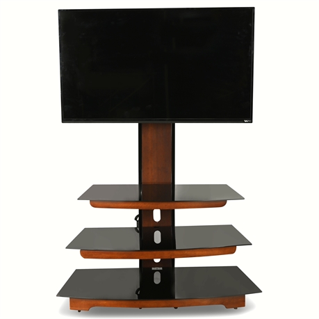 43" Vizio Smart TV with Stand