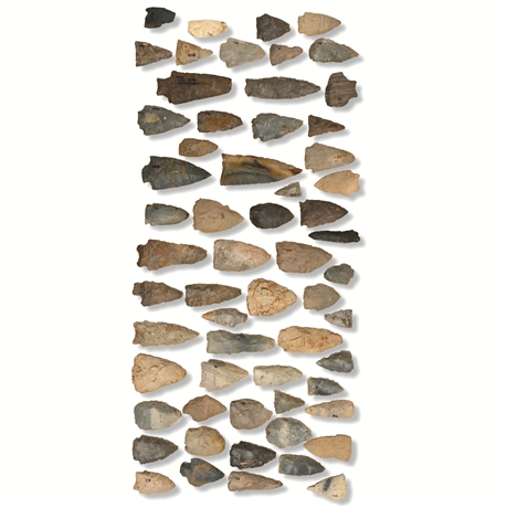 Benton Broad Stem Arrowheads