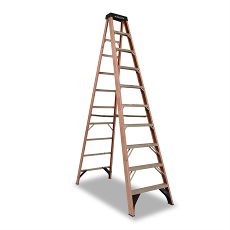 Werner 10 Foot Fiberglass Ladder