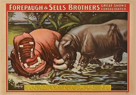 Forepaugh & Seus Brothers Hippopotamus Poster