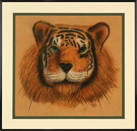 Vintage Liger Original Pastel