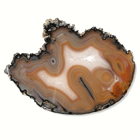 340g Polished Banded Agate Slice — Geode Specimen