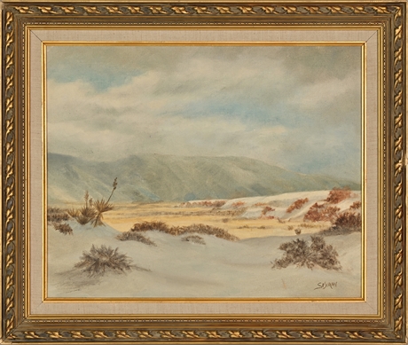 Gertrude Snyman White Sands Landscape