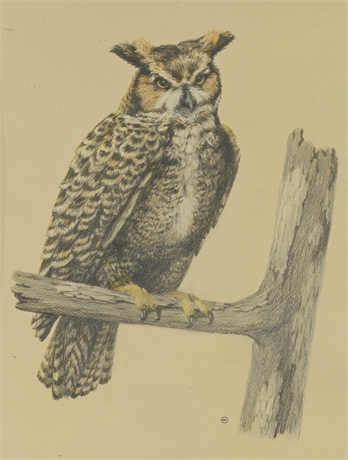 Elinor Ott "Wise Old Owl" Original