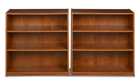Pair Contemporary Functional Bookcases
