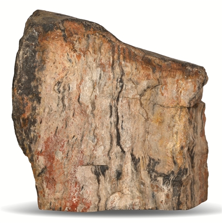 20 lb Petrified Wood Specimen