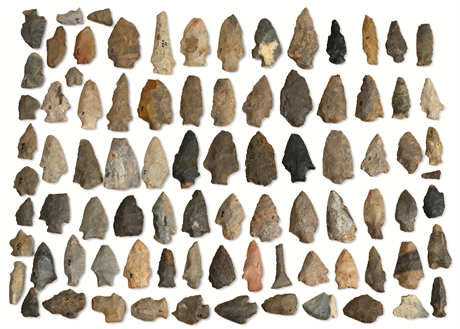 Benton Broad Stem Arrowheads