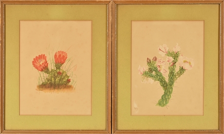 Framed Cacti Prints