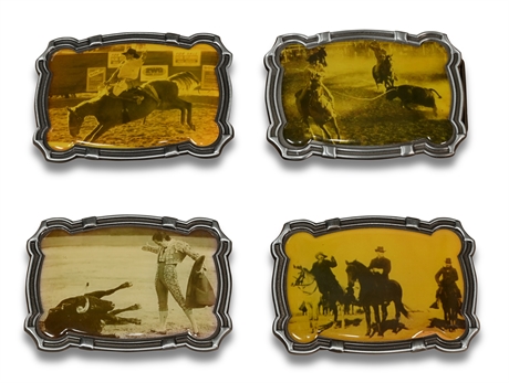 Visions of the Southwest Buckle Set