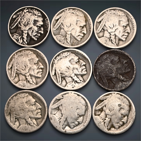 (9) Buffalo Nickels