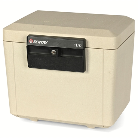 Sentry® 1170 Fireproof Box