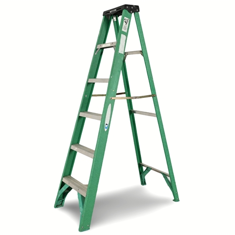 6' Werner Fiberglass Ladder