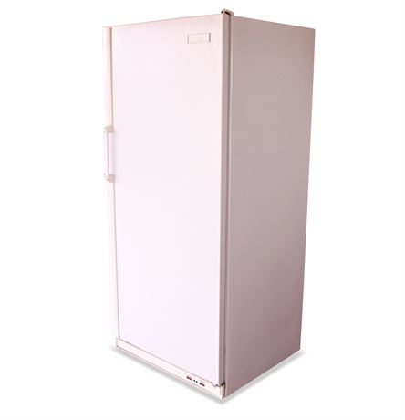 Frigidaire Frost Free Commercial Upright Freezer