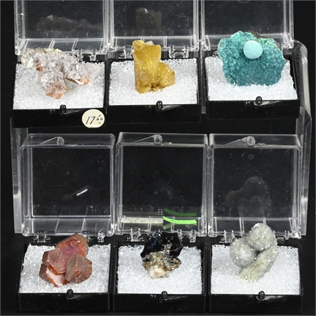 (6) Mineral Specimens