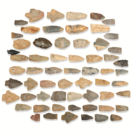 Benton Broad Stem Arrowheads