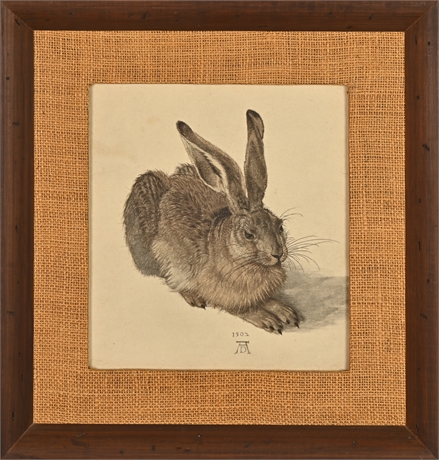 Albrecht Durer Hare Print