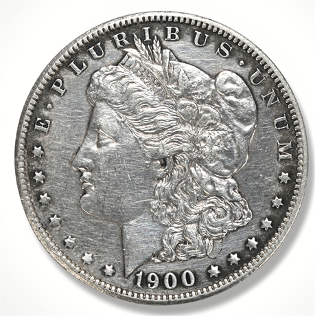 1900 Morgan Silver Dollar