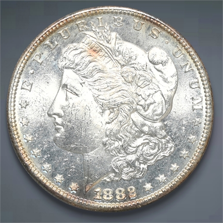 1882 Morgan Silver Dollar