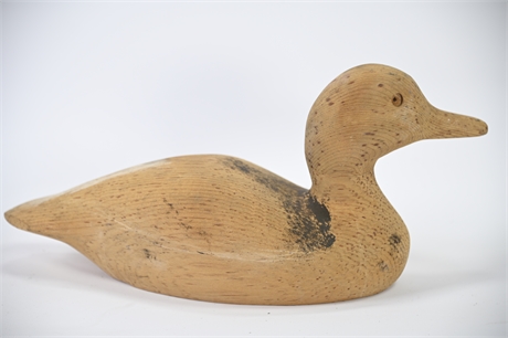 Antique Gadwall Decoy Duck