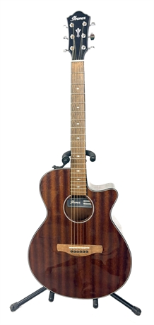 Ibanez Acoustic Guitar
