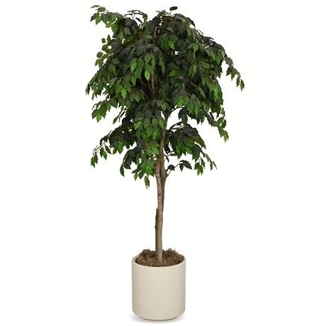 7' Faux Ficus