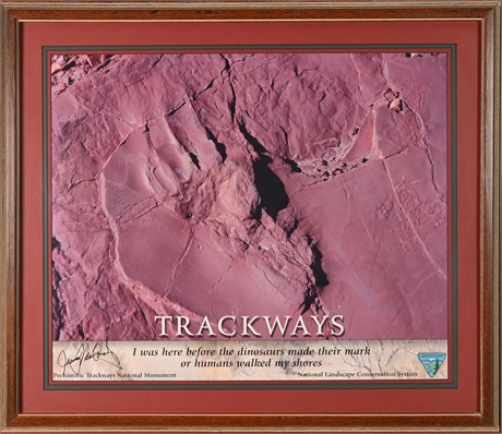 Prehistoric Trackways Framed Photograph