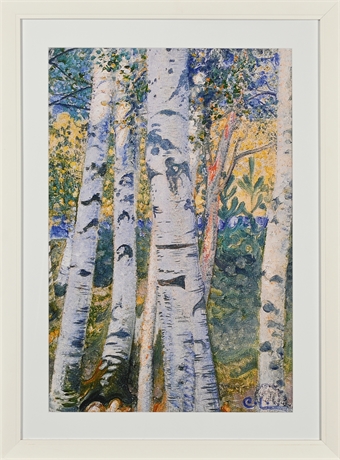 Carl Larson 'Birch Trees'