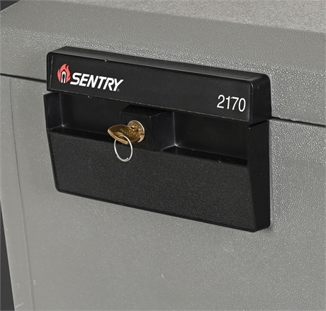 Sentry 2170 Fire-Resistant Document Safe with Key