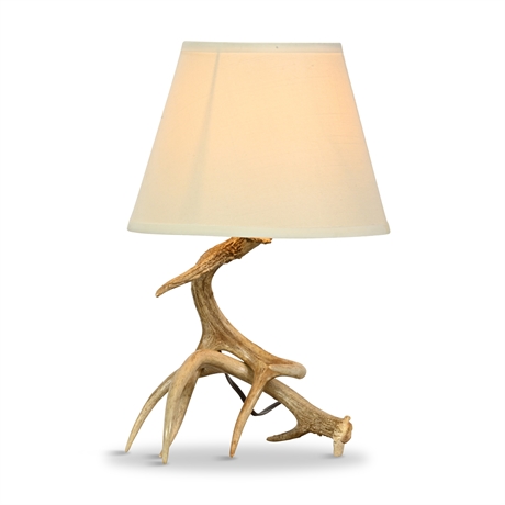 Genuine Antler Lamp