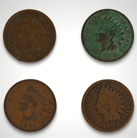 Indian Head Penny Collection