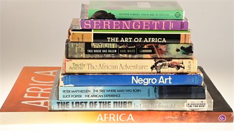 African Themed Books