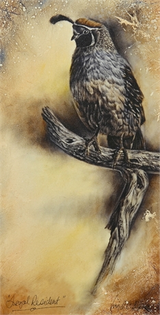 'Gamble's Quail, Legal Resident' by Virgil C. Stephens