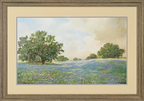 Texas Bluebonnets - by Gwendolyn H. Branstetter