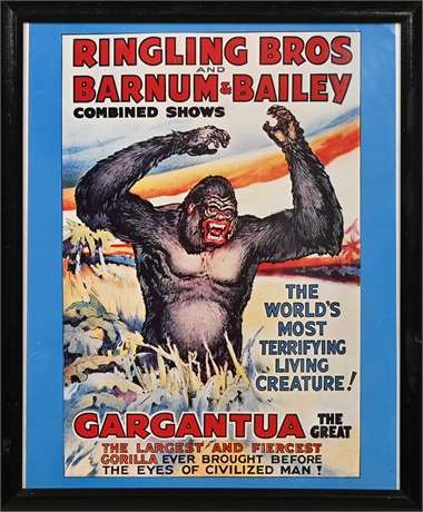Ringling Bros Gargantua Framed Poster
