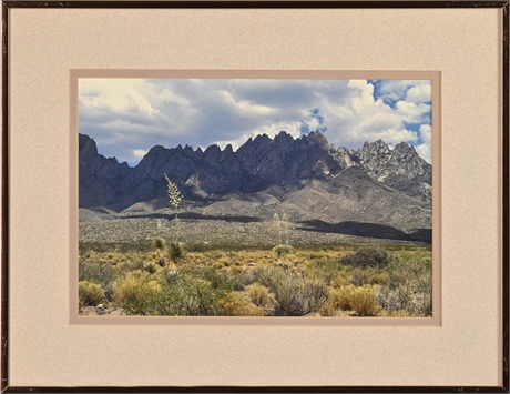 Organ Mountain Framed Photograph